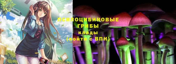 стафф Алзамай