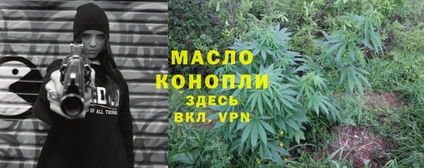 индика Пересвет