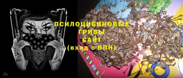 стафф Алзамай