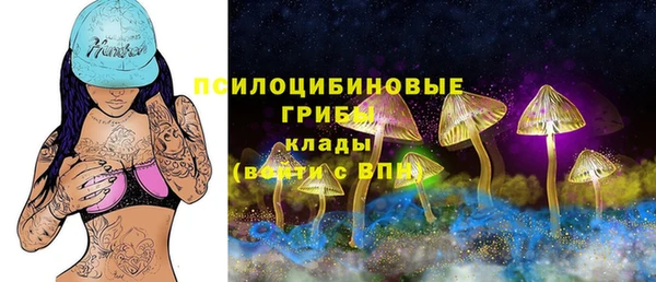 стафф Алзамай