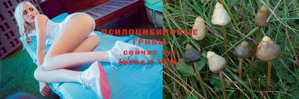 молекула духа Алексеевка