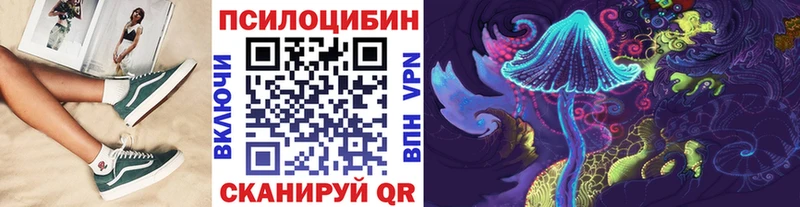как найти наркотики  shop телеграм  Псилоцибиновые грибы GOLDEN TEACHER  Динская 