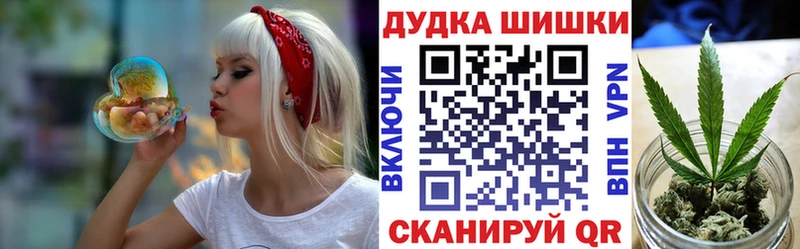 купить   Динская  Бошки Шишки семена 
